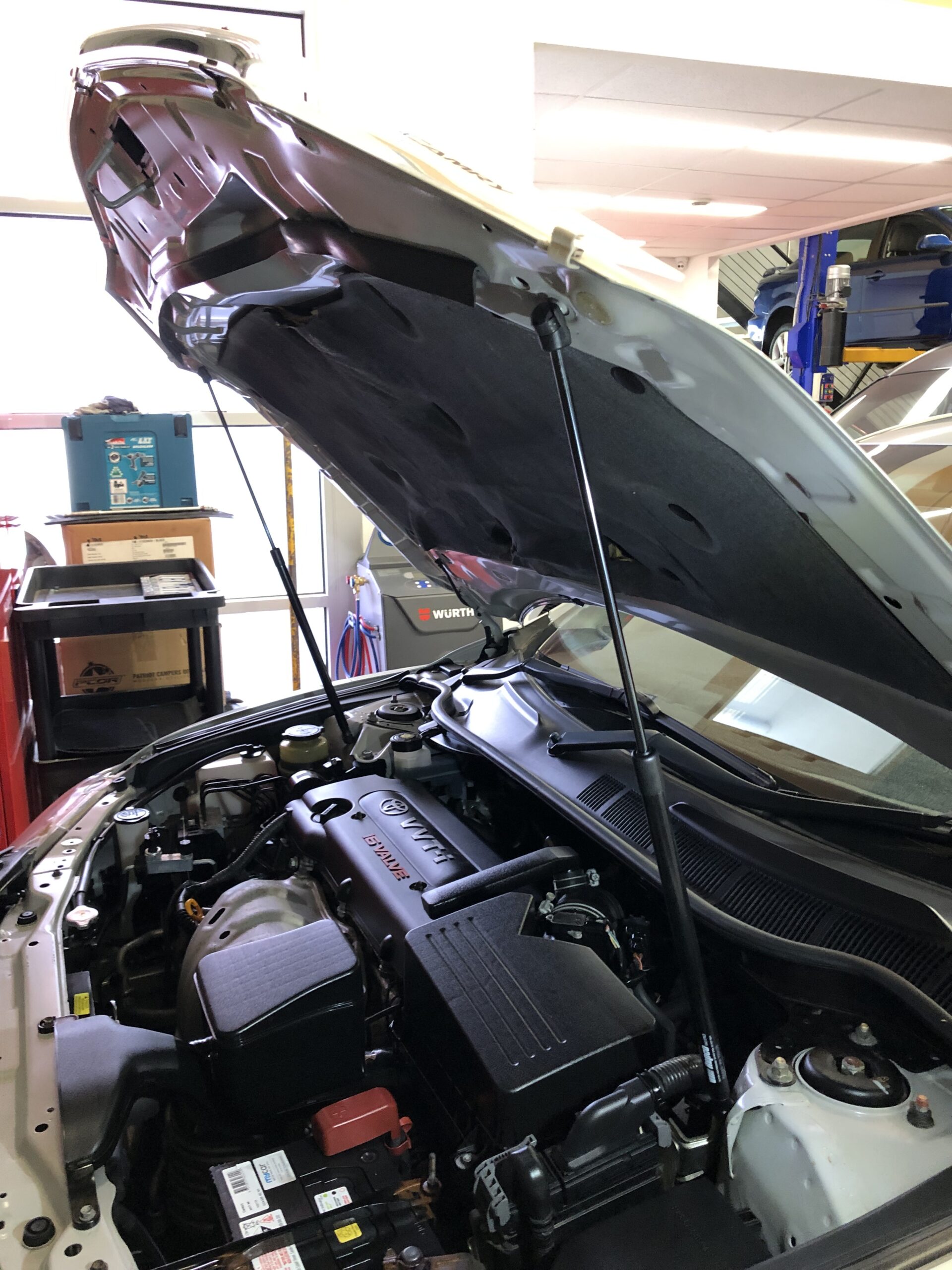 Bonnet Struts