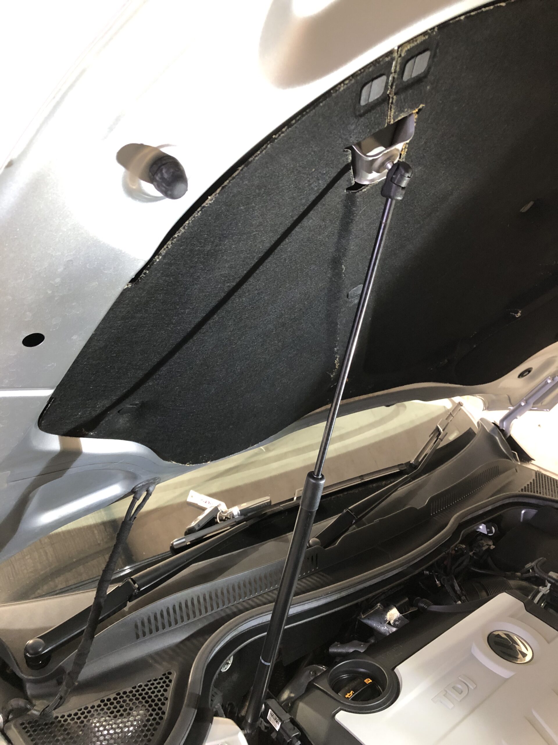 Bonnet Struts - Image 6
