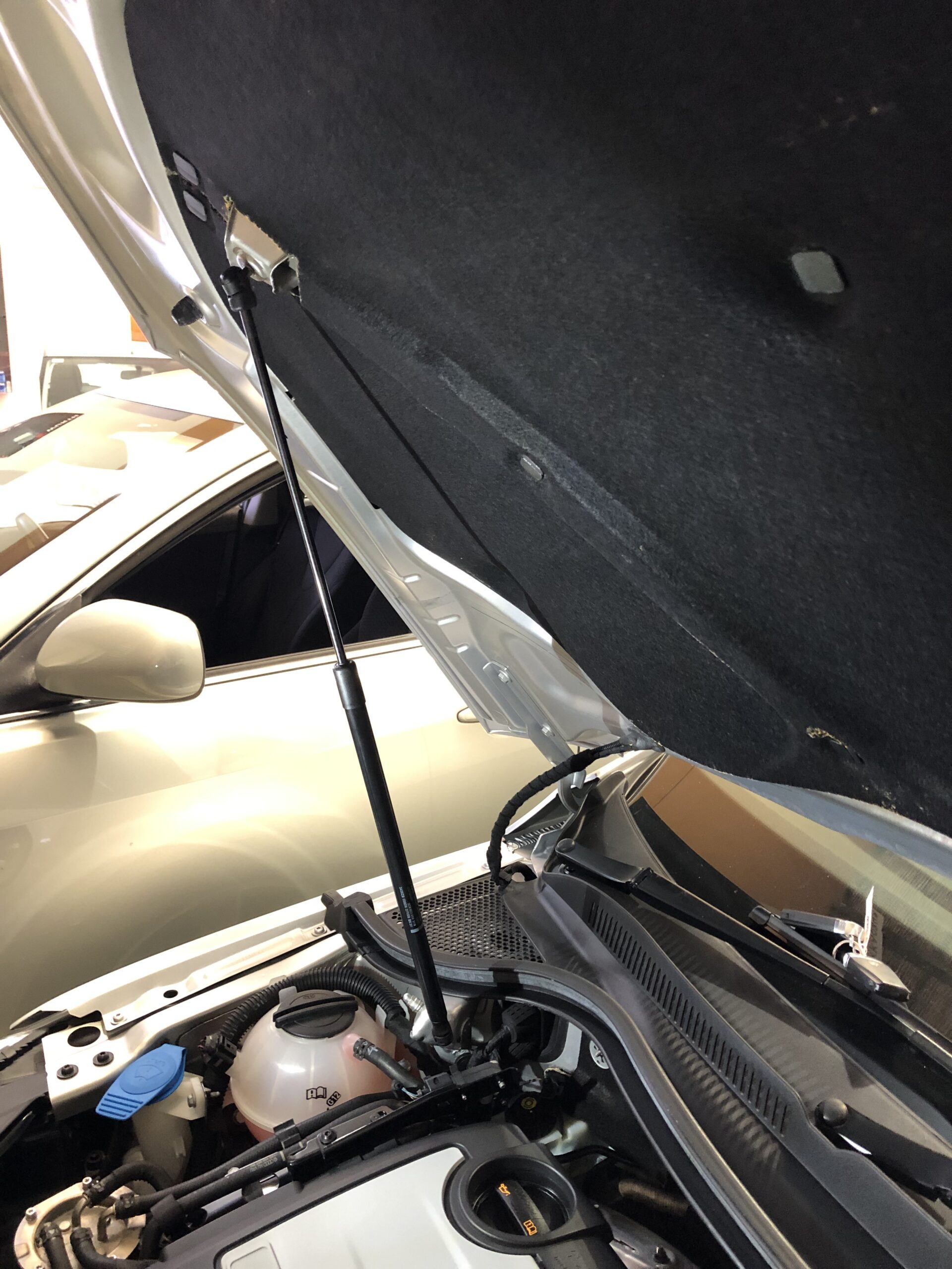 Bonnet Struts - Image 4