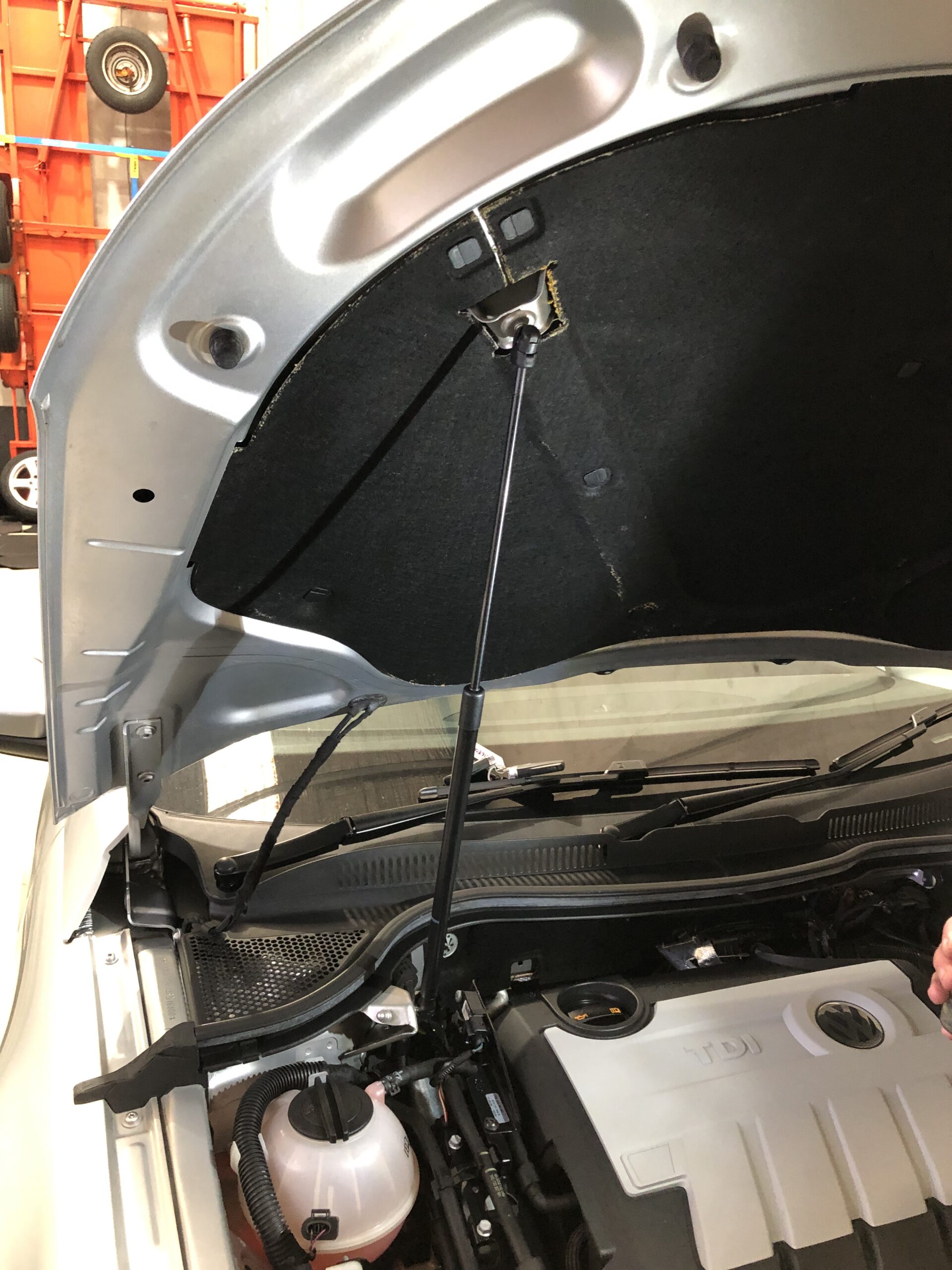Bonnet Struts - Image 5