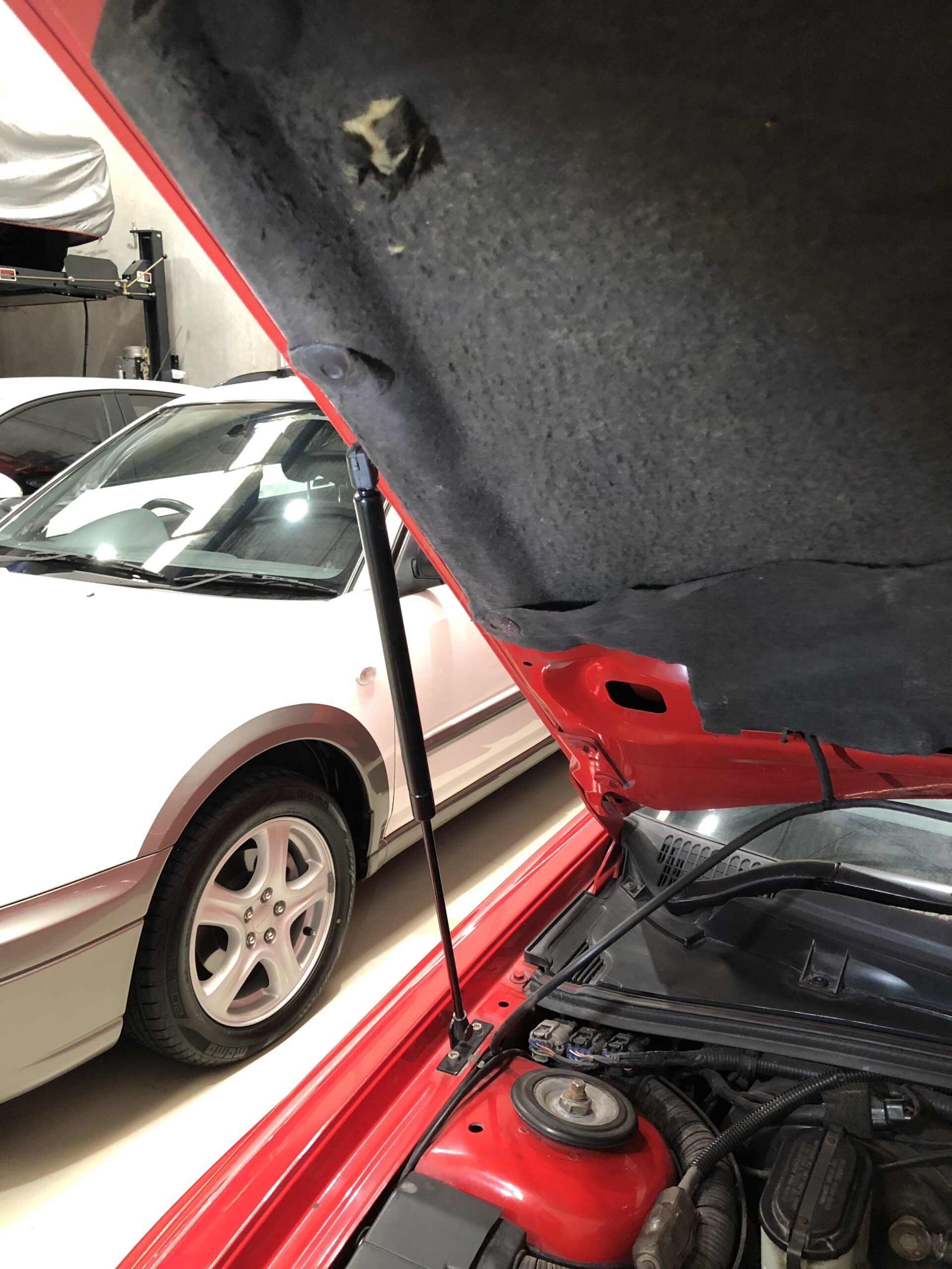 Bonnet Struts - Image 3