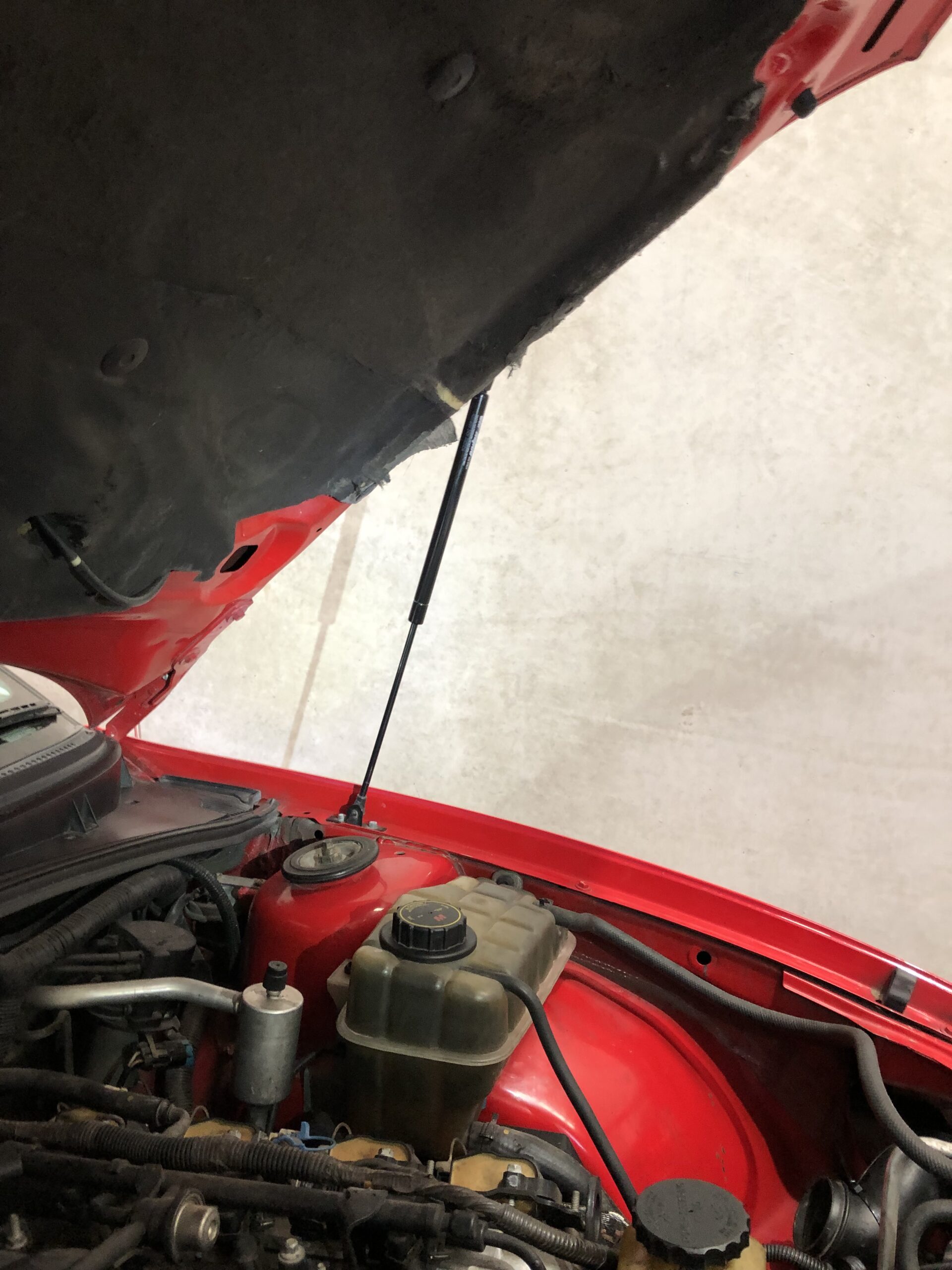 Bonnet Struts - Image 2